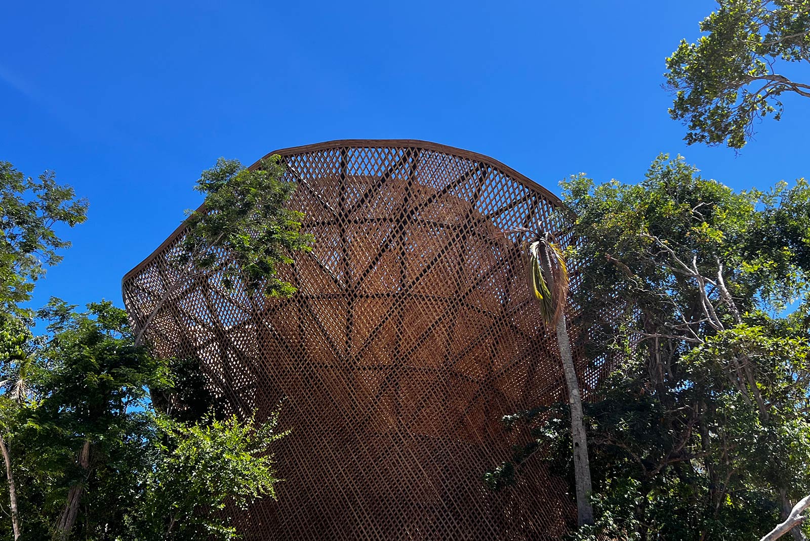 Proyecto hotelero -Estructura Parametrica en Tulúm