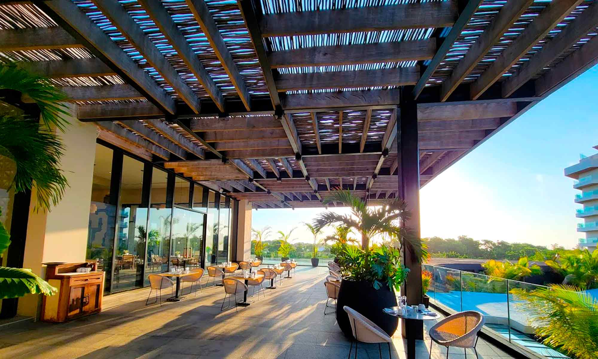 Pergolas entrecruzadas para zona de comidas